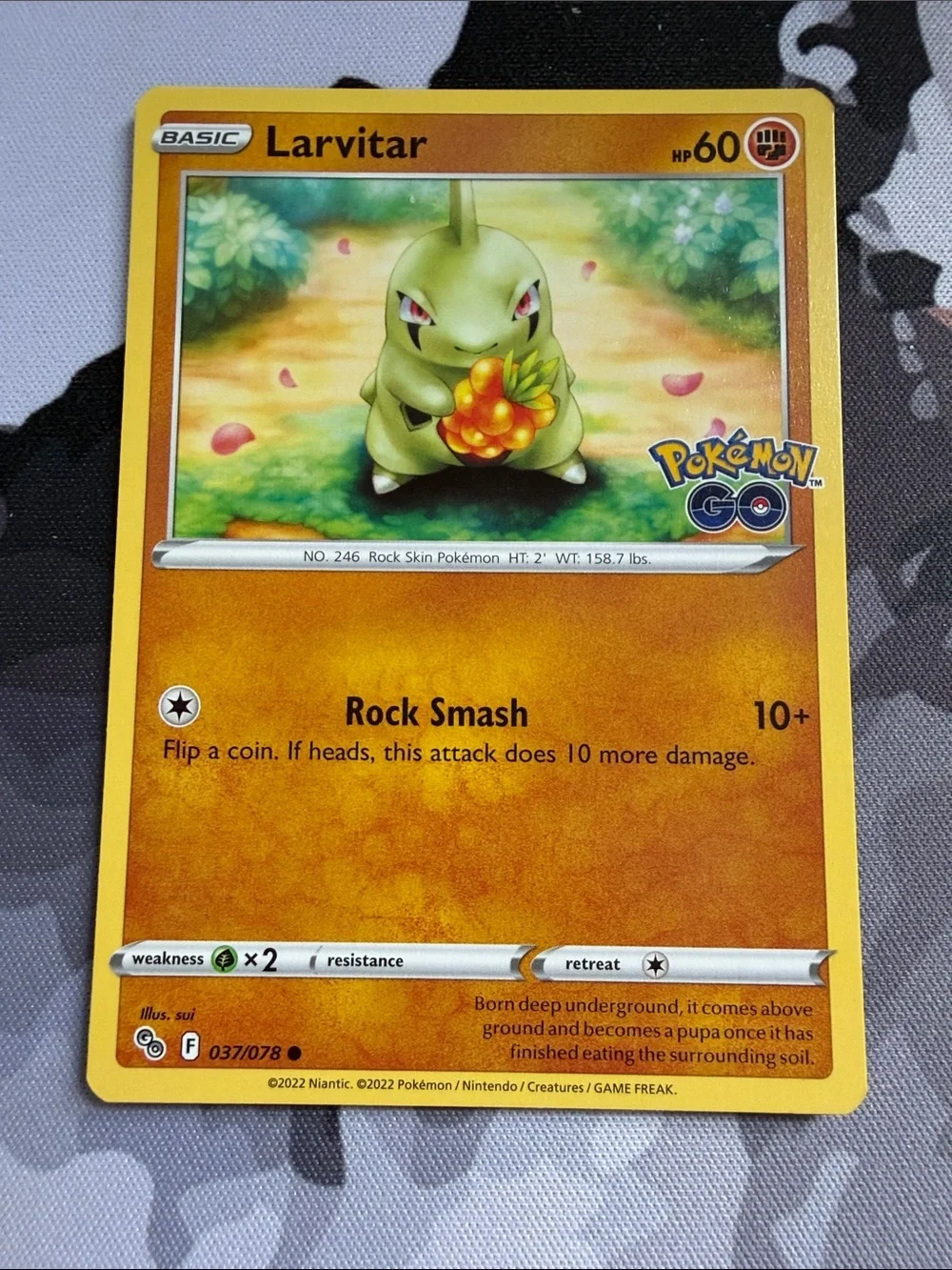 Larvitar & Pupitar Collection Lot | 4 Pokémon Cards | ✨5/$25✨